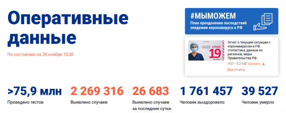 Число заболевших коронавирусом на 29 ноября 2020 года в России