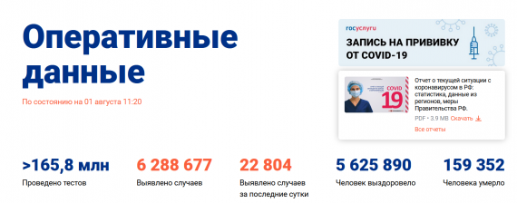 Число заболевших коронавирусом на 01 августа 2021 года в России