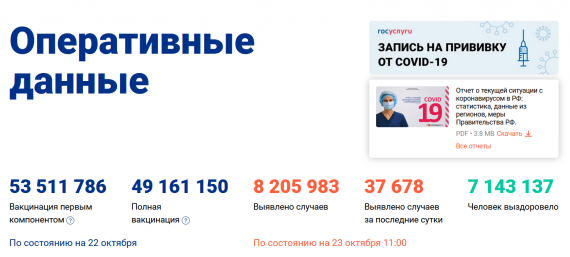 Число заболевших коронавирусом на 23 октября 2021 года в России