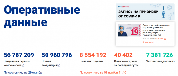 Число заболевших коронавирусом на 01 ноября 2021 года в России