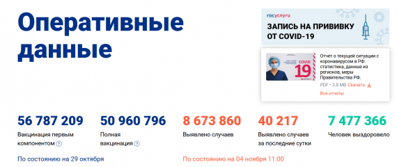 Число заболевших коронавирусом на 04 ноября 2021 года в России