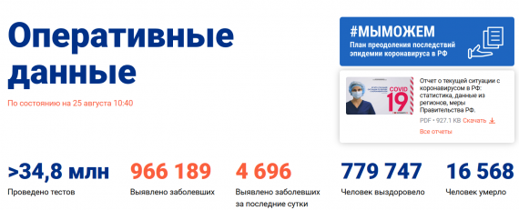 Число заболевших коронавирусом на 25 августа 2020 года в России