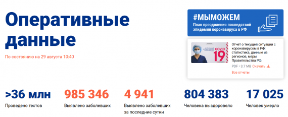 Число заболевших коронавирусом на 29 августа 2020 года в России