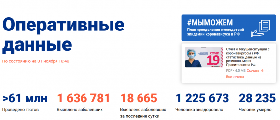 Число заболевших коронавирусом на 01 ноября 2020 года в России