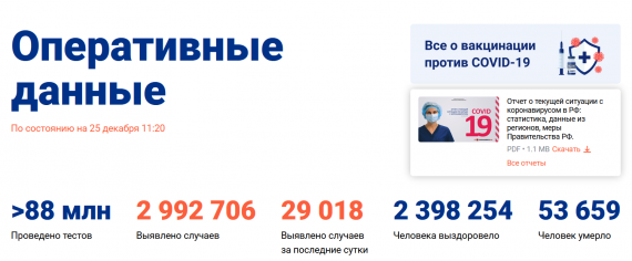 Число заболевших коронавирусом на 25 декабря 2020 года в России