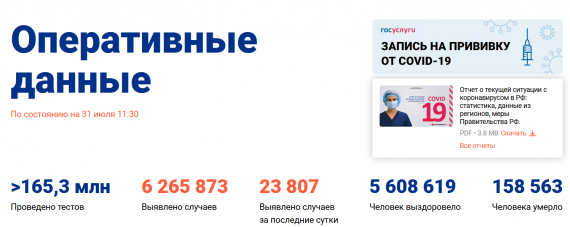 Число заболевших коронавирусом на 31 июля 2021 года в России
