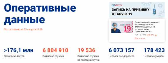Число заболевших коронавирусом на 25 августа 2021 года в России