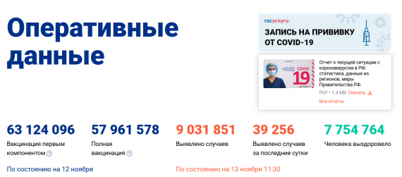Число заболевших коронавирусом на 13 ноября 2021 года в России